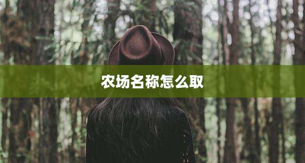 农场名称怎么取