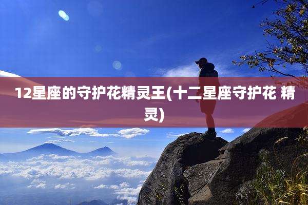 12星座的守护花精灵王(十二星座守护花 精灵)