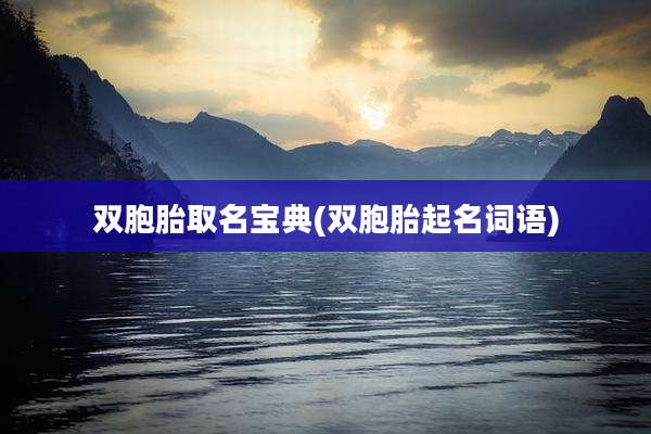 双胞胎取名宝典(双胞胎起名词语)