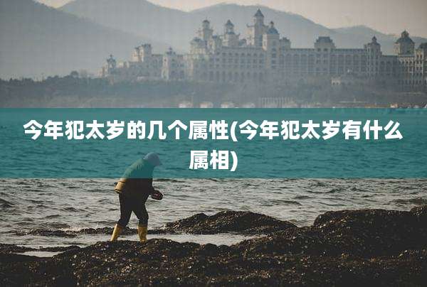 今年犯太岁的几个属性(今年犯太岁有什么属相)