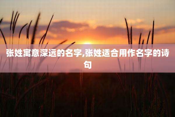 张姓寓意深远的名字,张姓适合用作名字的诗句