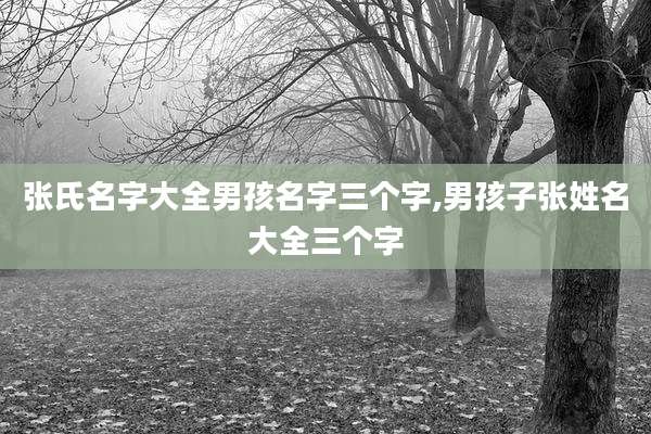 张氏名字大全男孩名字三个字,男孩子张姓名大全三个字