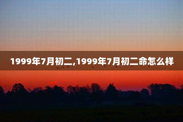 1999年7月初二,1999年7月初二命怎么样