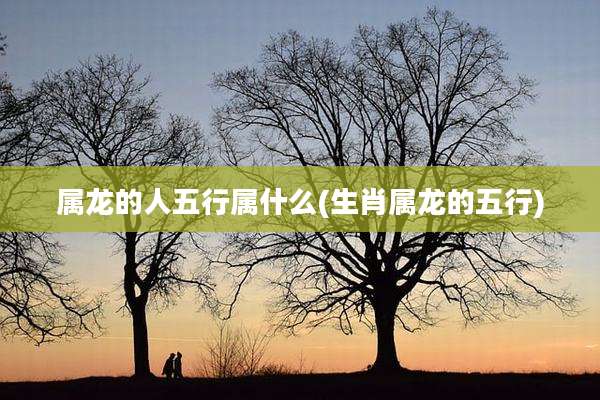 属龙的人五行属什么(生肖属龙的五行)