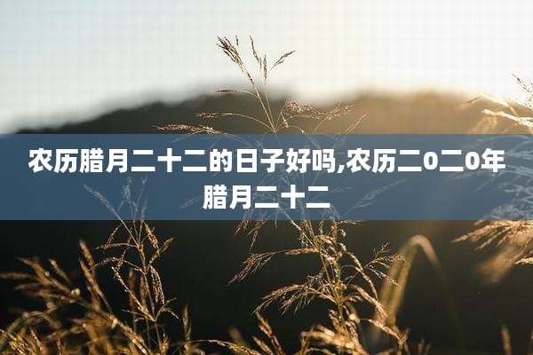 农历腊月二十二的日子好吗,农历二0二0年腊月二十二