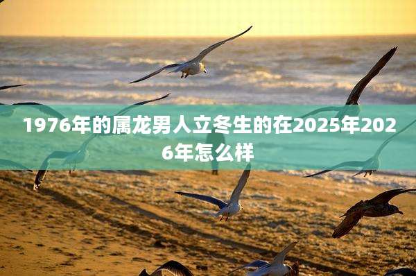 1976年的属龙男人立冬生的在2025年2026年怎么样