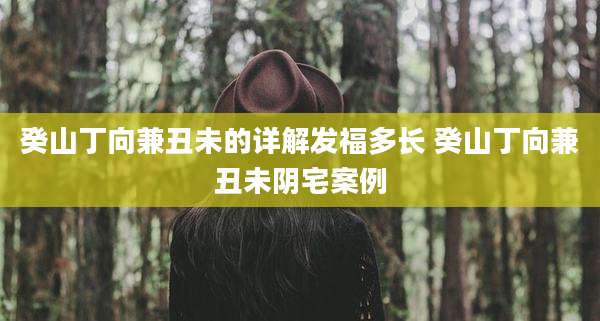 癸山丁向兼丑未的详解发福多长 癸山丁向兼丑未阴宅案例