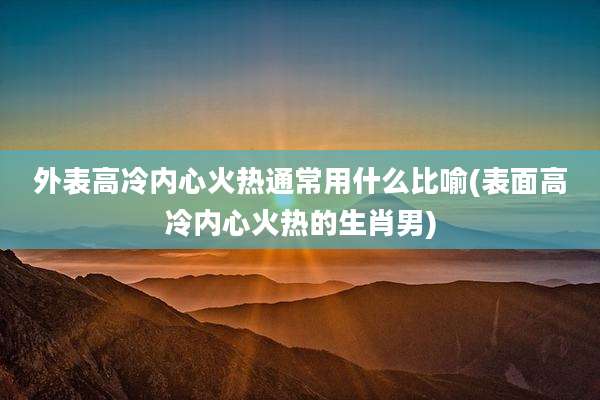 外表高冷内心火热通常用什么比喻(表面高冷内心火热的生肖男)