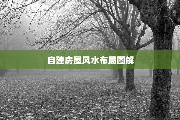 自建房屋风水布局图解