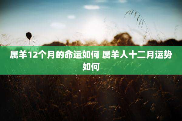 属羊12个月的命运如何 属羊人十二月运势如何