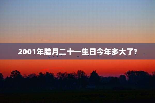 2001年腊月二十一生日今年多大了?