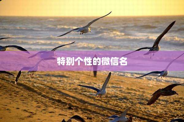 特别个性的微信名