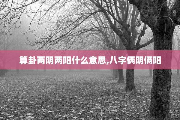 算卦两阴两阳什么意思,八字俩阴俩阳