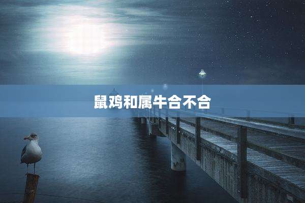 鼠鸡和属牛合不合