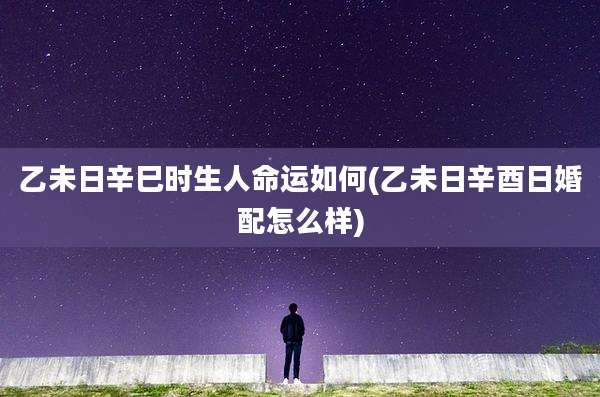 乙未日辛巳时生人命运如何(乙未日辛酉日婚配怎么样)