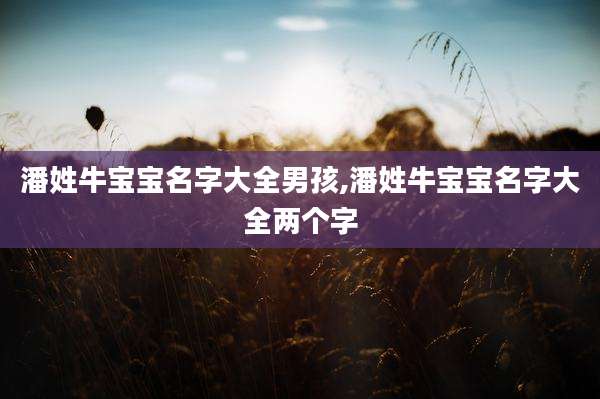 潘姓牛宝宝名字大全男孩,潘姓牛宝宝名字大全两个字