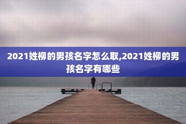 2021姓柳的男孩名字怎么取,2021姓柳的男孩名字有哪些