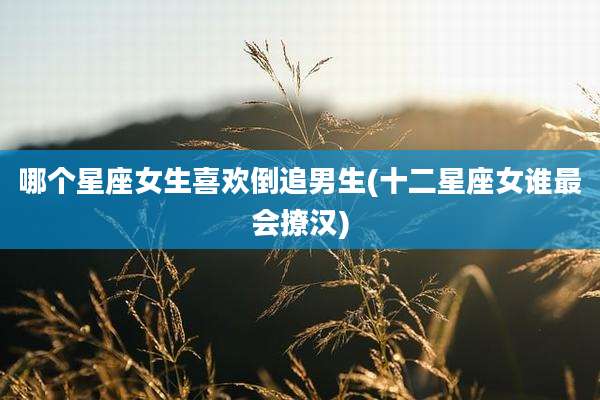 哪个星座女生喜欢倒追男生(十二星座女谁最会撩汉)