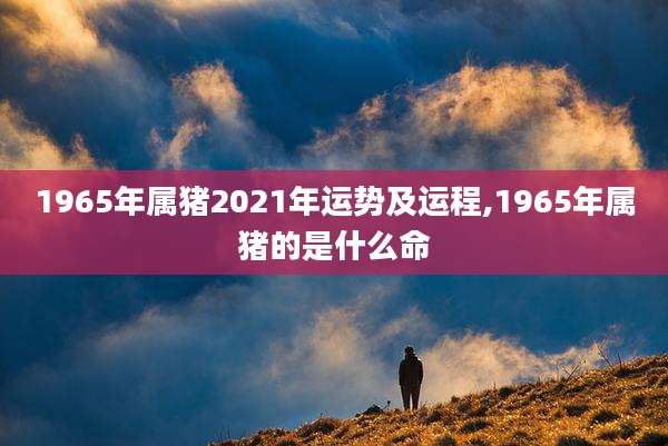 1965年属猪2021年运势及运程,1965年属猪的是什么命