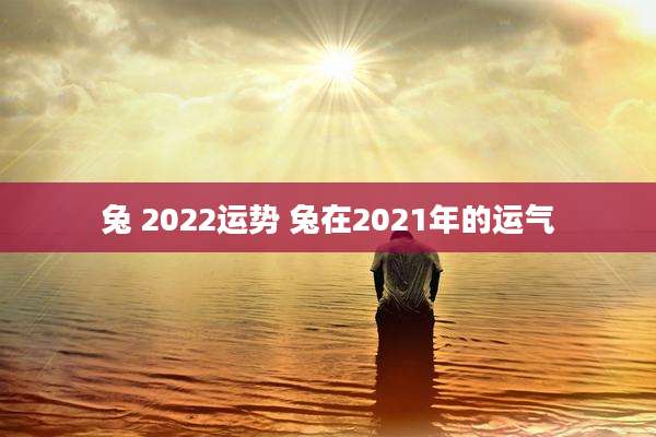 兔 2022运势 兔在2021年的运气
