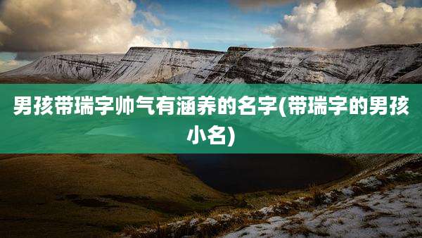 男孩带瑞字帅气有涵养的名字(带瑞字的男孩小名)