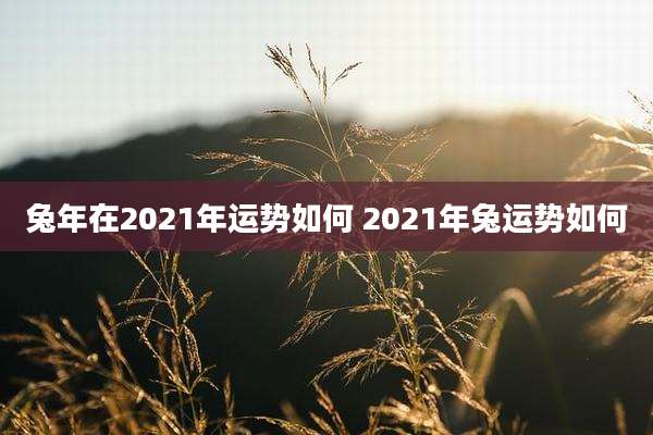 兔年在2021年运势如何 2021年兔运势如何