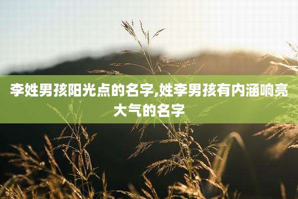 李姓男孩阳光点的名字,姓李男孩有内涵响亮大气的名字