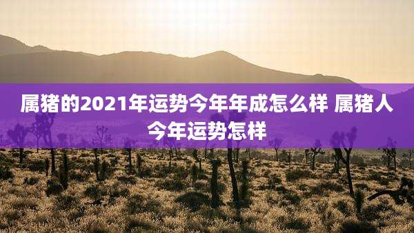 属猪的2021年运势今年年成怎么样 属猪人今年运势怎样