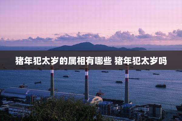 猪年犯太岁的属相有哪些 猪年犯太岁吗