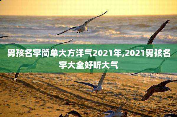 男孩名字简单大方洋气2021年,2021男孩名字大全好听大气