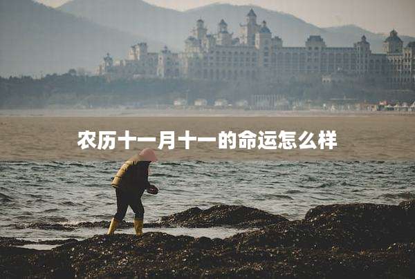 农历十一月十一的命运怎么样