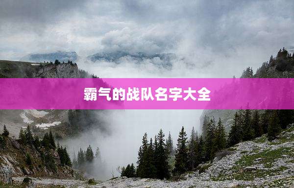 霸气的战队名字大全