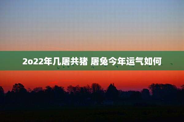 2o22年几屠共猪 屠兔今年运气如何