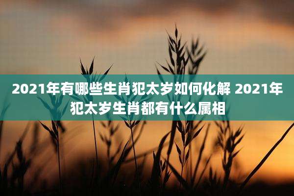 2021年有哪些生肖犯太岁如何化解 2021年犯太岁生肖都有什么属相