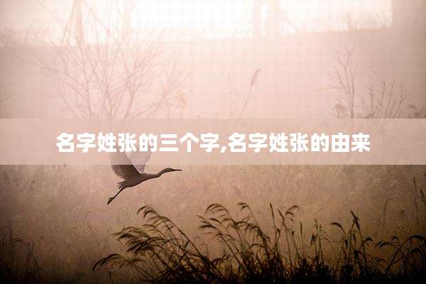 名字姓张的三个字,名字姓张的由来