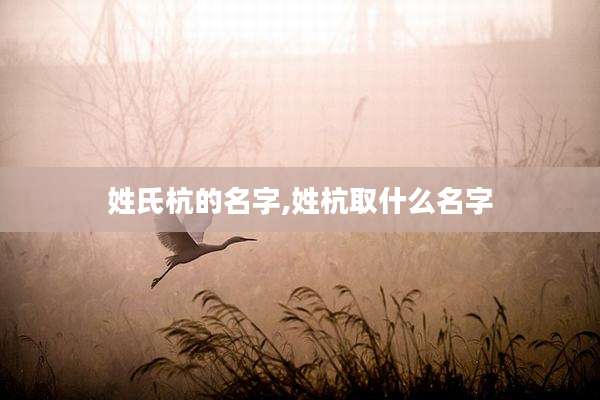 姓氏杭的名字,姓杭取什么名字
