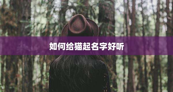 如何给猫起名字好听