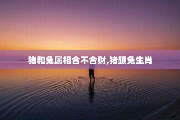 猪和兔属相合不合财,猪跟兔生肖