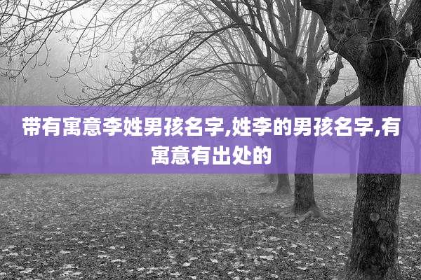 带有寓意李姓男孩名字,姓李的男孩名字,有寓意有出处的