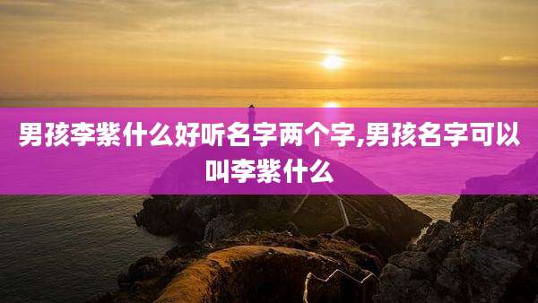 男孩李紫什么好听名字两个字,男孩名字可以叫李紫什么