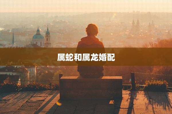 属蛇和属龙婚配
