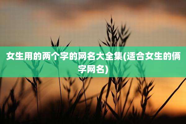 女生用的两个字的网名大全集(适合女生的俩字网名)