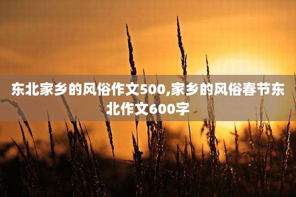 东北家乡的风俗作文500,家乡的风俗春节东北作文600字