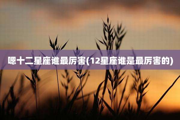 嗯十二星座谁最厉害(12星座谁是最厉害的)