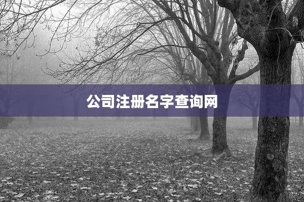 公司注册名字查询网