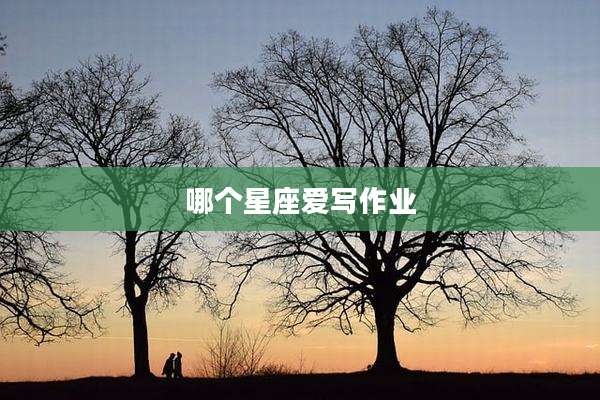 哪个星座爱写作业