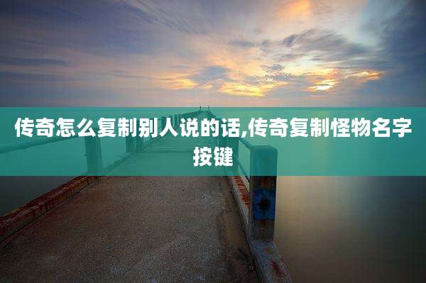 传奇怎么复制别人说的话,传奇复制怪物名字按键