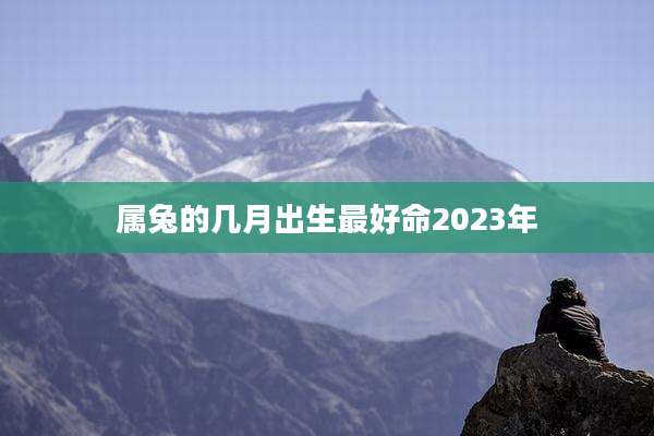 属兔的几月出生最好命2023年