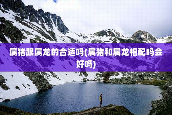 属猪跟属龙的合适吗(属猪和属龙相配吗会好吗)