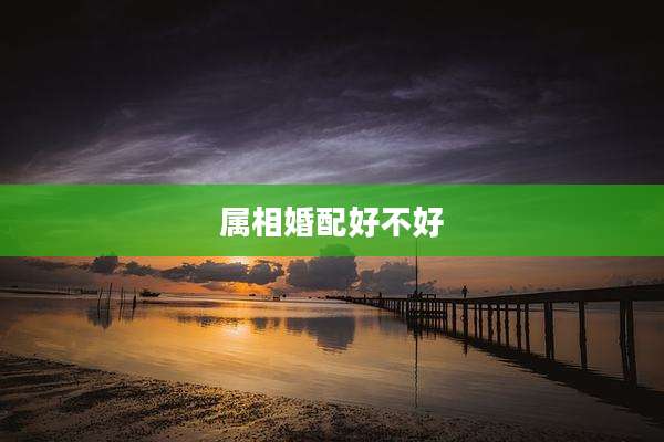属相婚配好不好